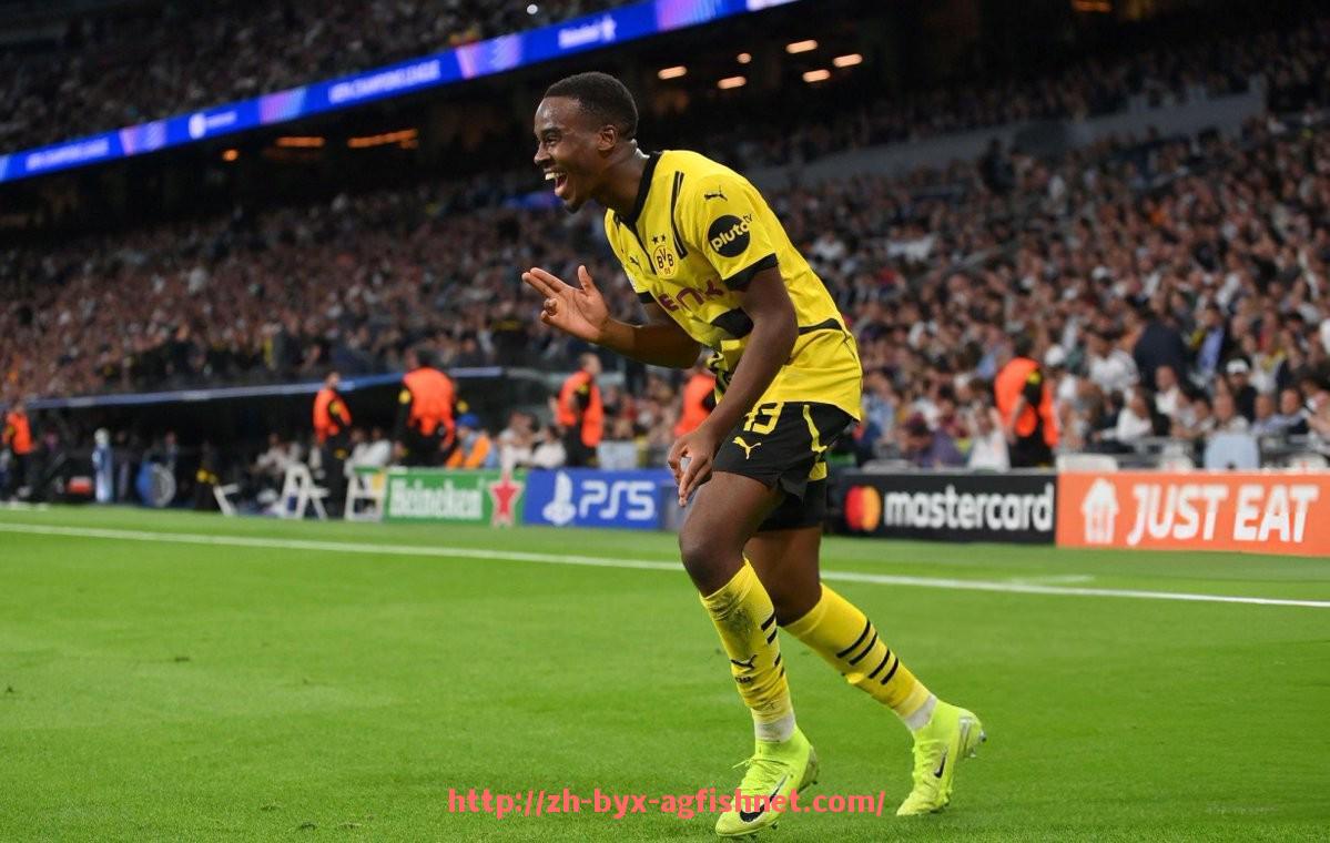 AG捕鱼王官网-世俱杯周边商品购买渠道对比，正品保障与价格指南