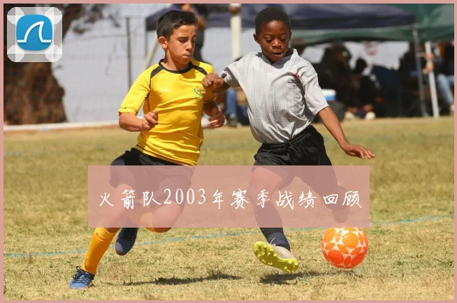 火箭队2003年赛季战绩回顾