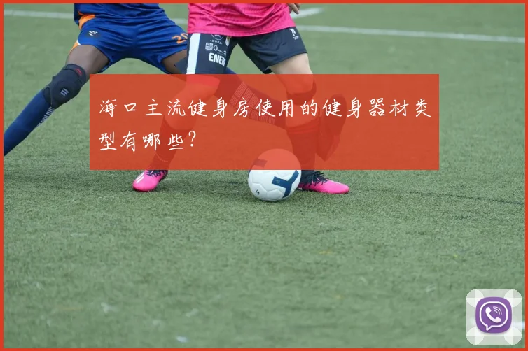 海口主流健身房使用的健身器材类型有哪些？