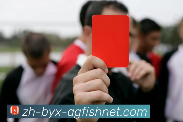 AG捕鱼王官网APP 体育赛事宣传图