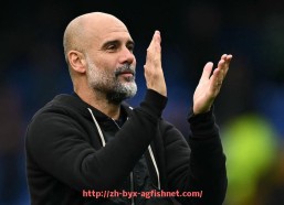 AG捕鱼王官网-最新英超球员周薪数据解读与薪资结构分析