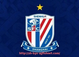 AG捕鱼王官网-英超各个球队市值最新数据分析揭示英超金钱版图