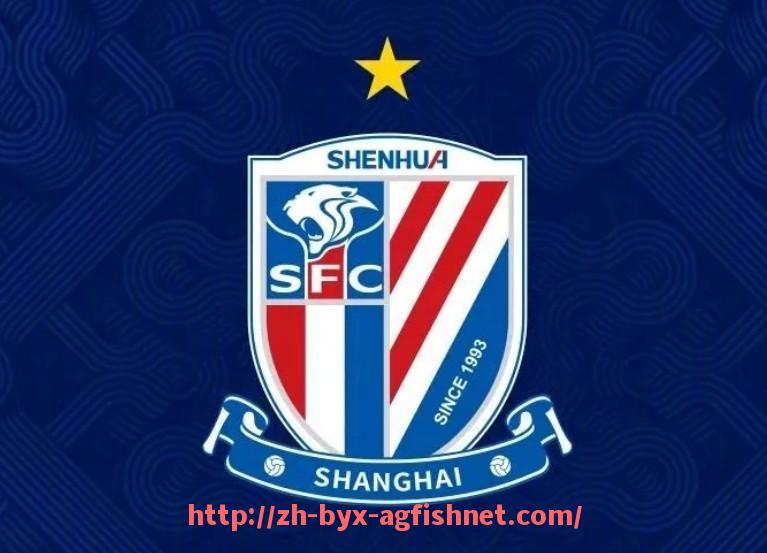 AG捕鱼王官网-法甲球员赛季技术分析与战术适应性的探讨