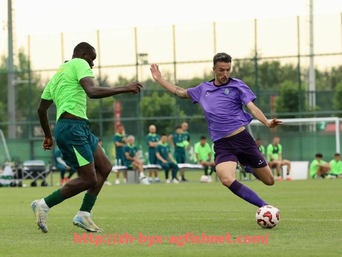 AG捕鱼王官网-法甲赛季球队重大失误全纪录：致命失误与比赛走向